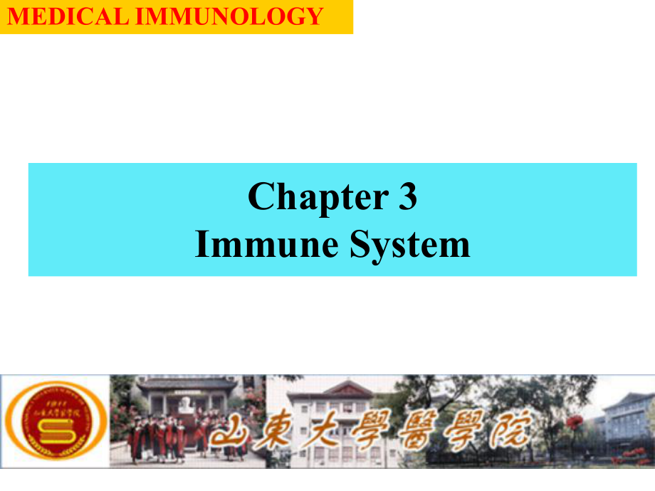 医学免疫学英文版课件：Chapter3 immnune system_第1页