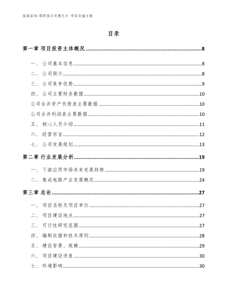 邵阳显示处理芯片 项目实施方案_第1页