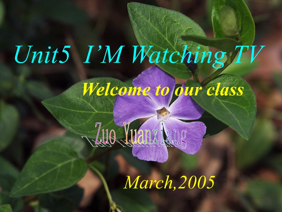 教育专题：Unit5(2)I'mwatchingTV5_第1页