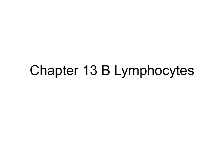 医学免疫学英文版教学课件：Chapter 12 B Lymphocytes_第1页