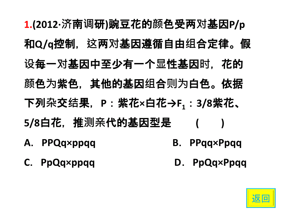 教育专题：自由组合练习题_第1页