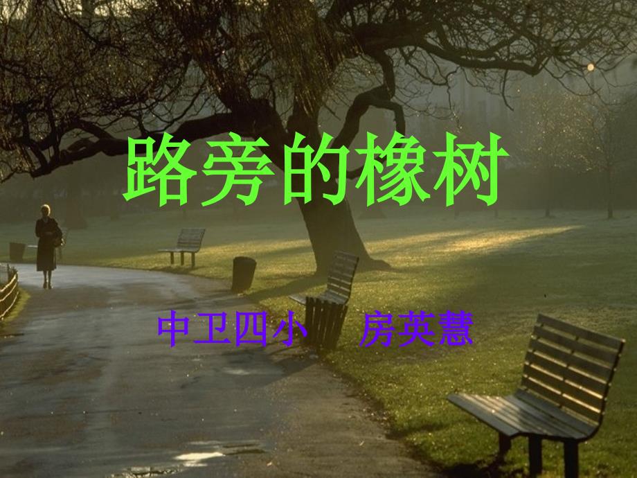 教育专题：路旁的橡树 (2)_第1页