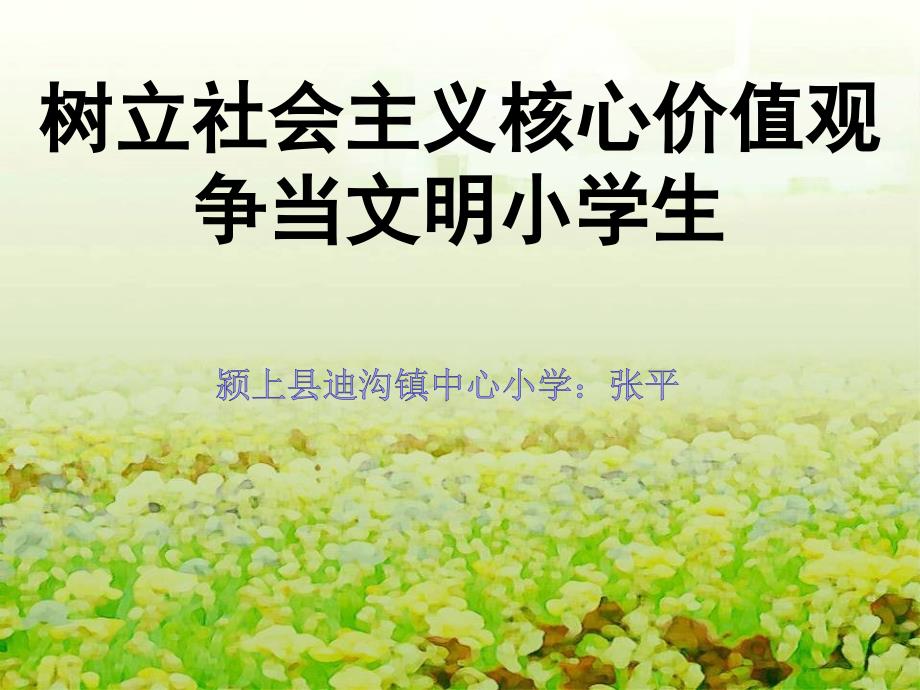 教育专题：三年级+张平+社会主义核心价值观主题班会_第1页