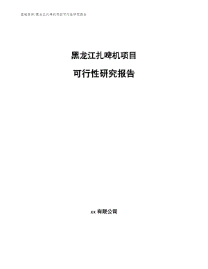 黑龙江扎啤机项目可行性研究报告【模板参考】
