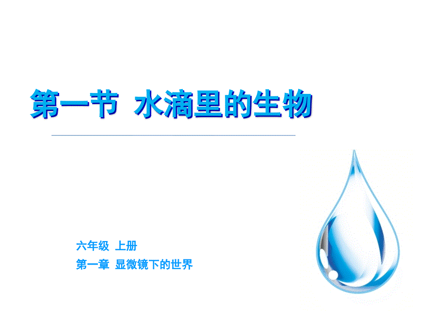 教育专题：水滴里的生物_第1页