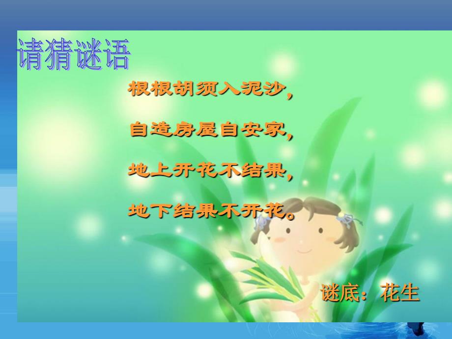 教育专题：（北师大版）四年级语文上册课件_落花生 (2)_第1页