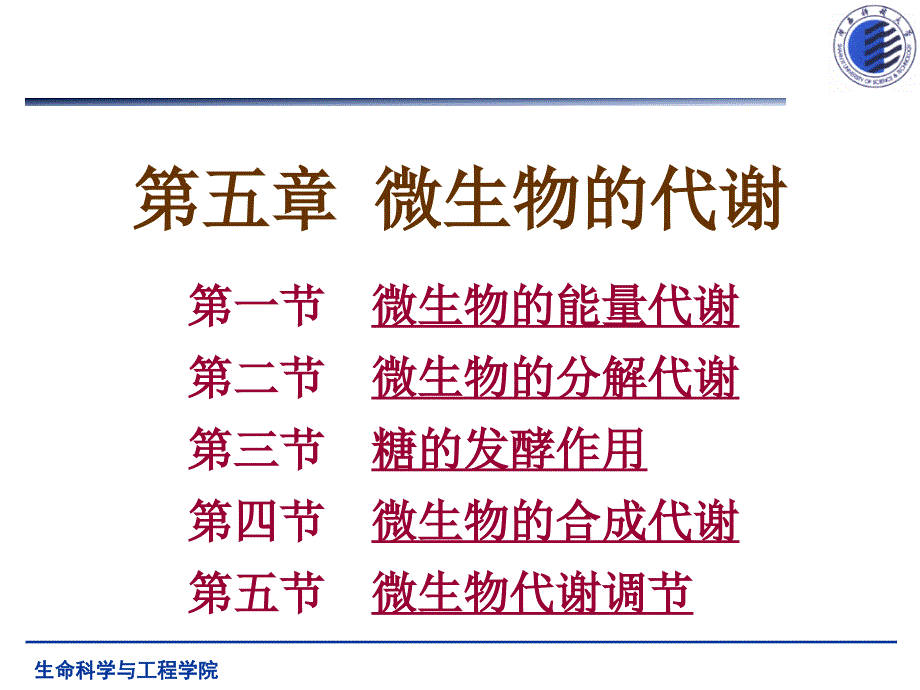 第五章 微生物的代谢_第1页