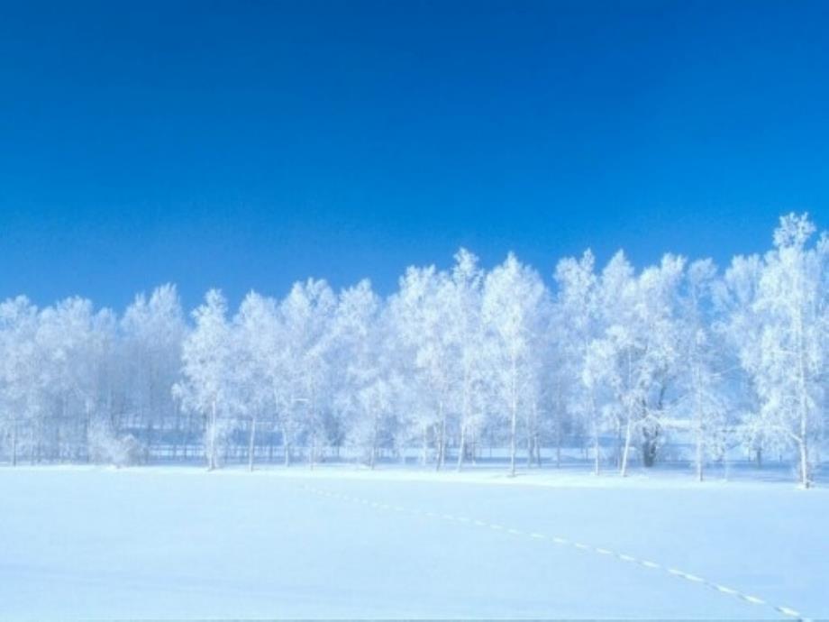 教育专题：人教版小学语文一年级上册《雪地里的小画家》PPT课件_新_第1页