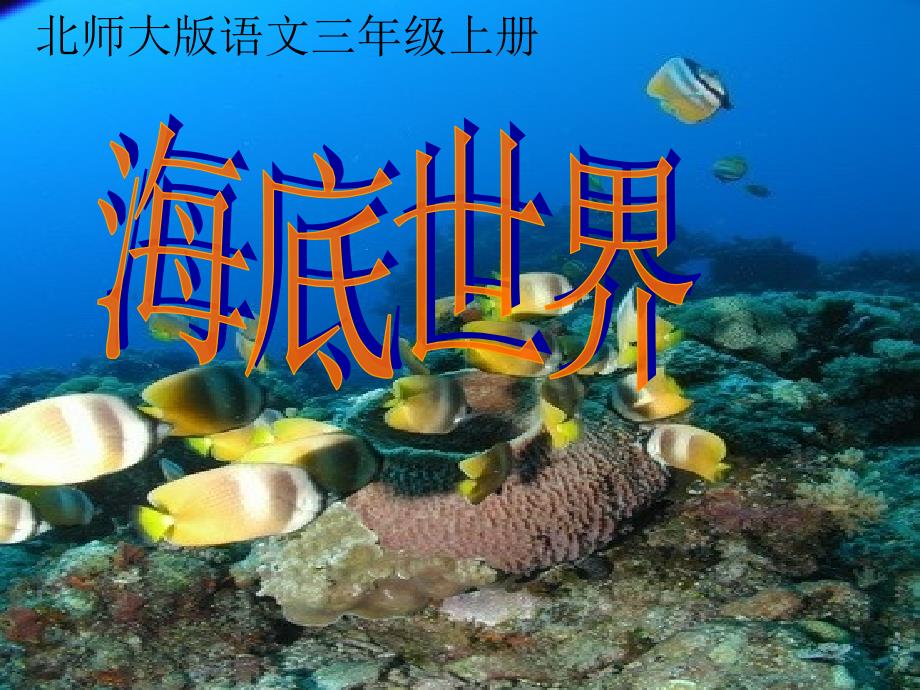 教育专题：海底世界课件_第1页