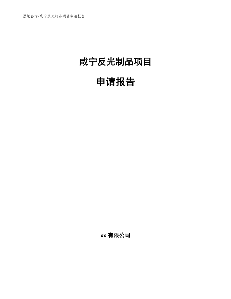 咸宁反光制品项目申请报告_第1页