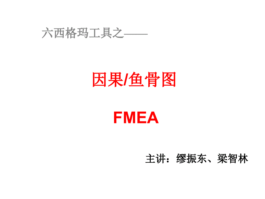 六西格玛工具之一fmea 讲义_第1页