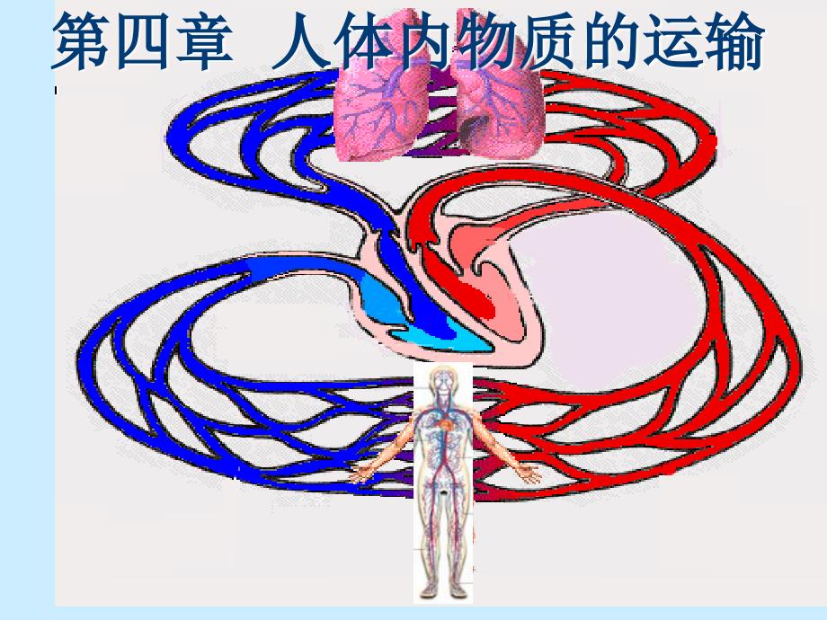 人体内物质的运输人教版课件_第1页