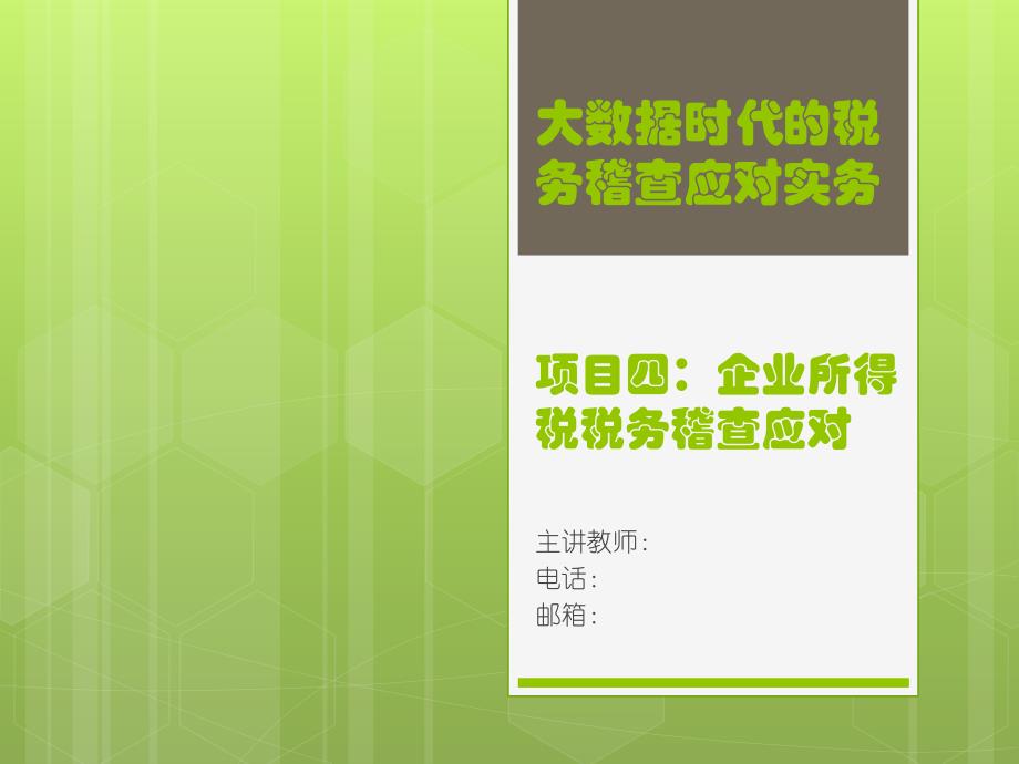 企业所得税税务稽查应对课件_第1页