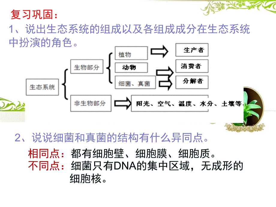 教育专题：真菌细菌在自然界中的作用（上课）_第1页