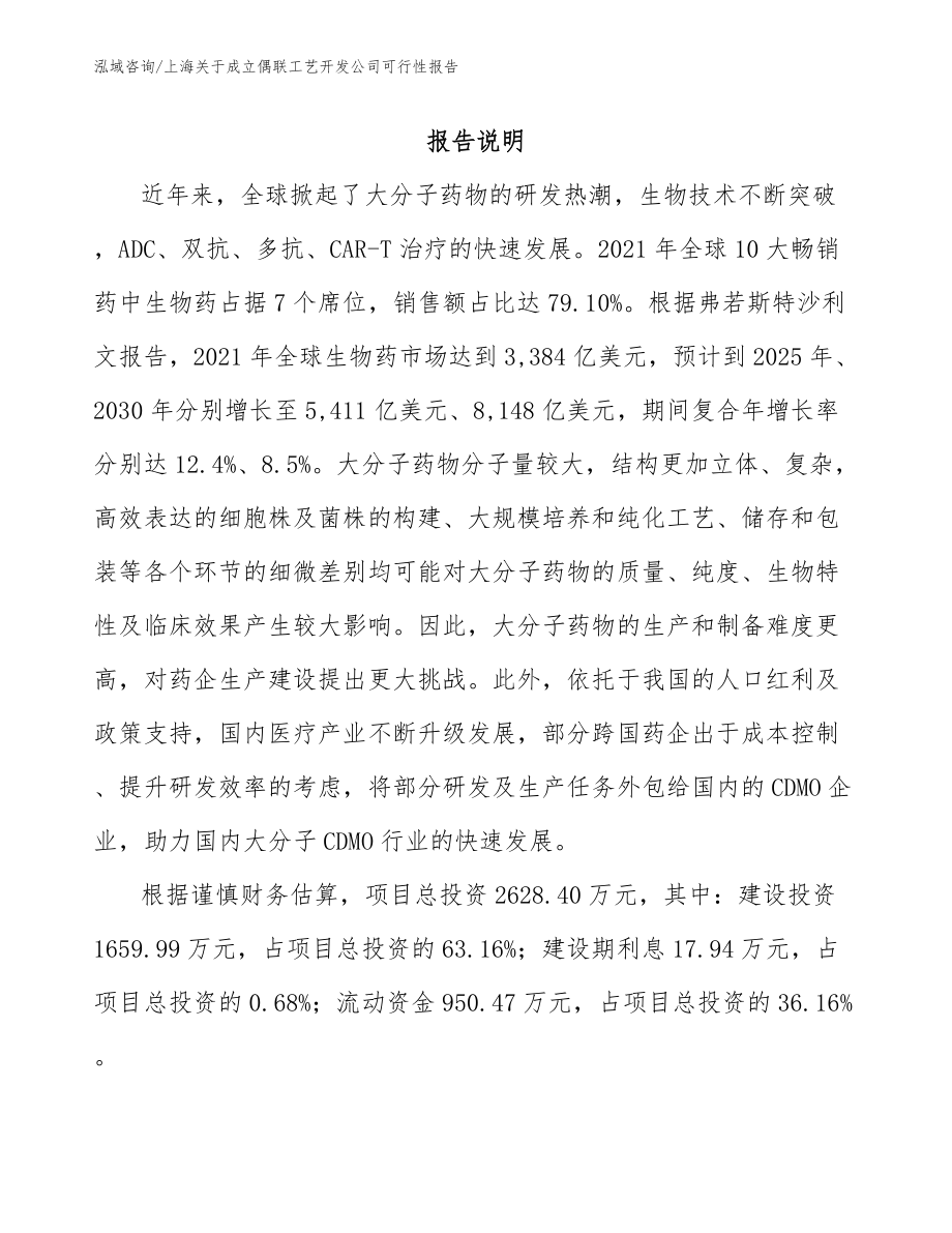上海关于成立偶联工艺开发公司可行性报告【模板范本】_第1页