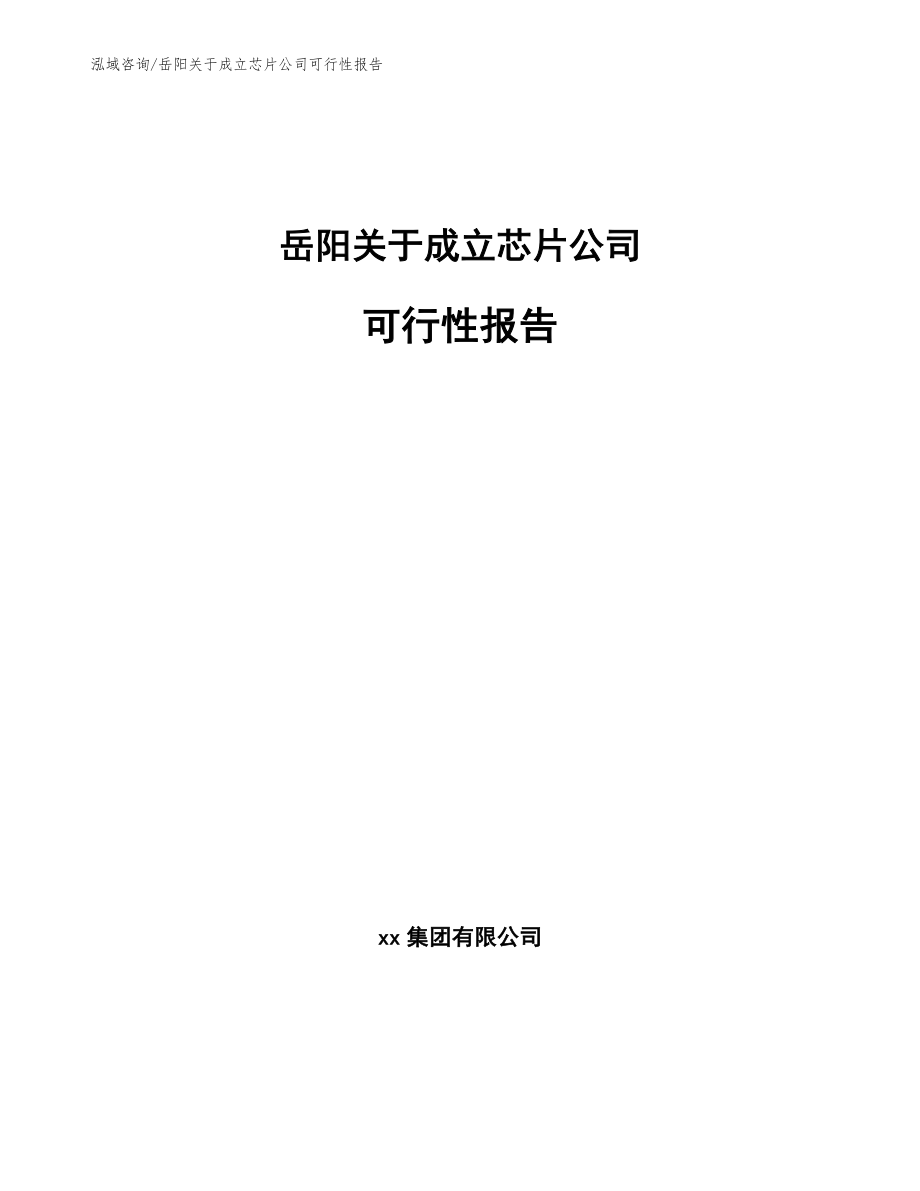 岳阳关于成立芯片公司可行性报告（模板范本）_第1页