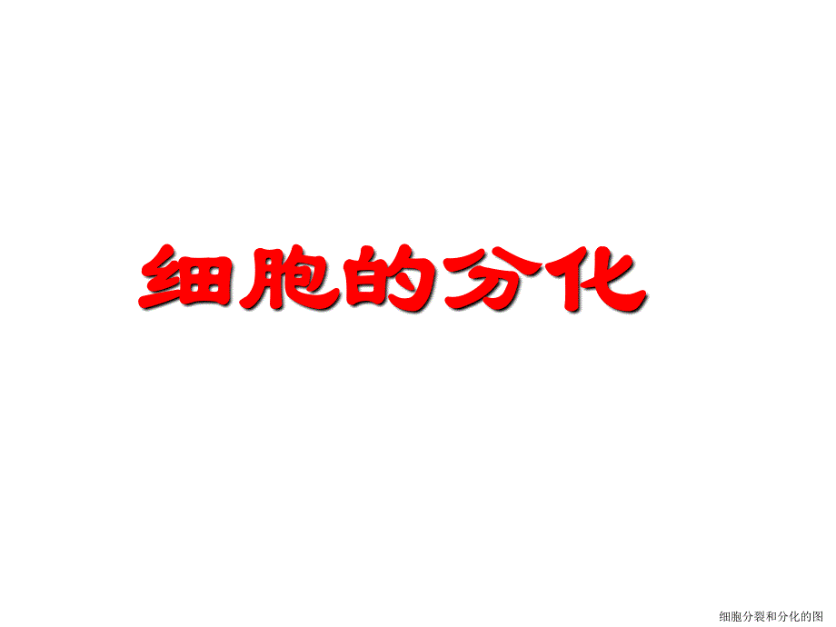 2012届细胞的衰老和凋亡_第1页