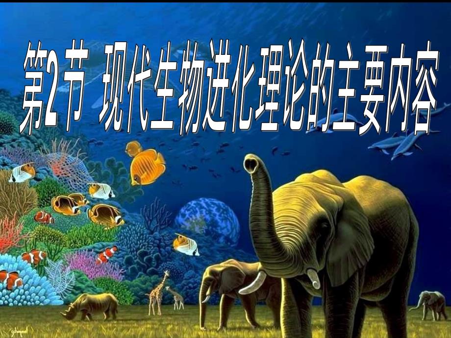 教育专题：72现代生物进化理论的主要内容_第1页