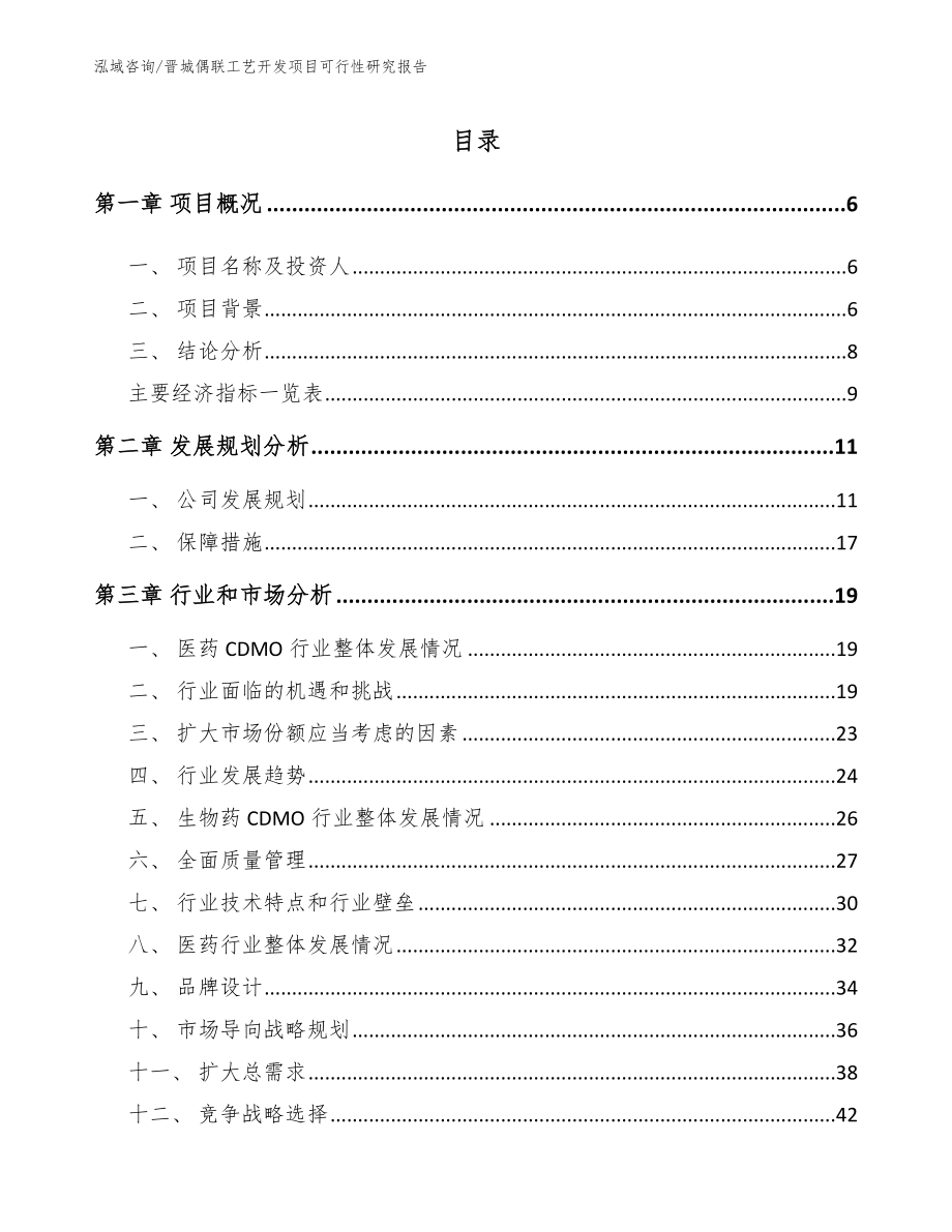 晋城偶联工艺开发项目可行性研究报告范文参考_第1页