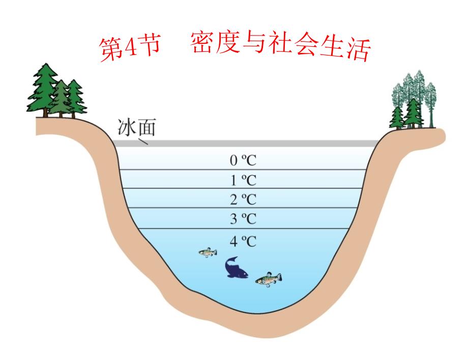 教育专题：第四节密度与社会生活_第1页