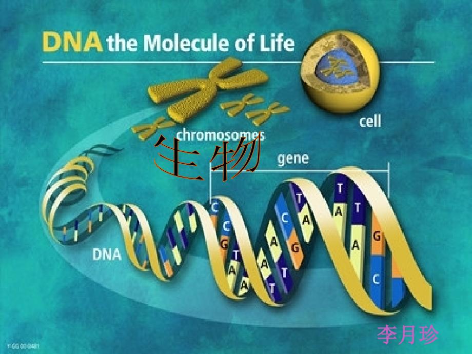 教育专题：细胞核是遗传信息库课件_[初中生物_教学课件_PPT课件] (2)_第1页