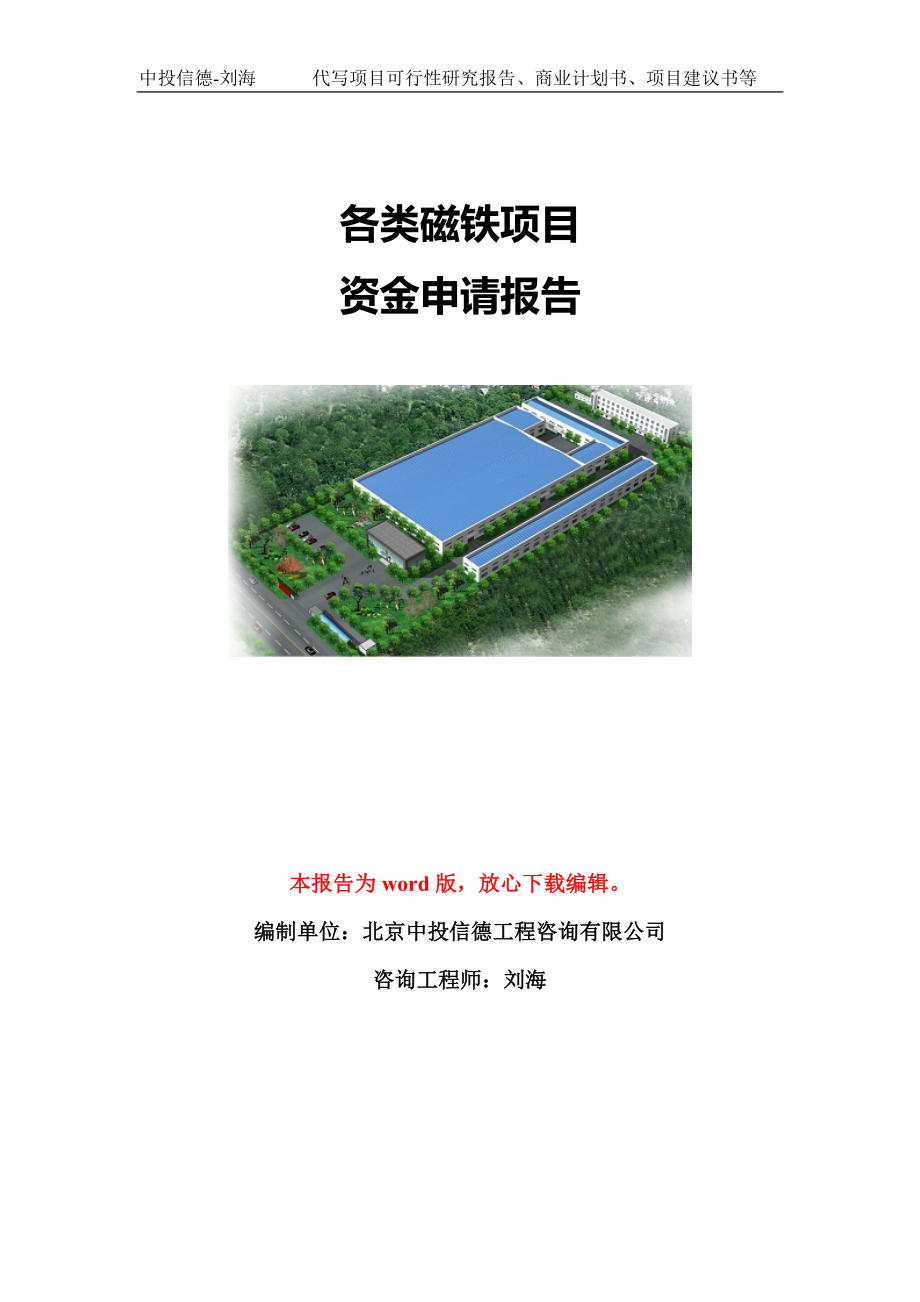 各类磁铁项目资金申请报告模板定制_第1页