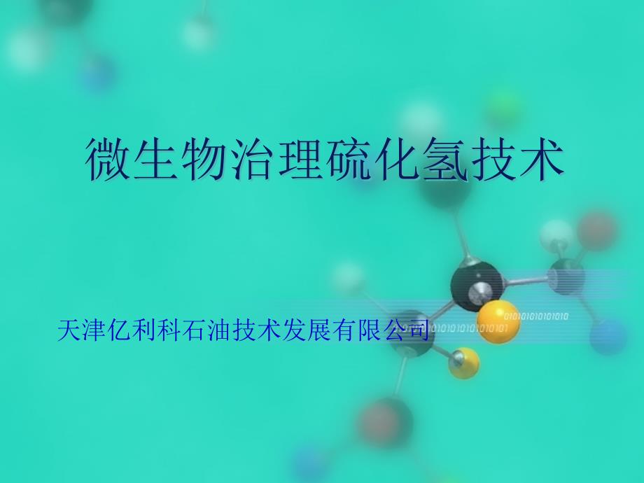 硫化氢技术简介_第1页