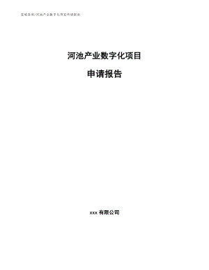 河池产业数字化项目申请报告模板