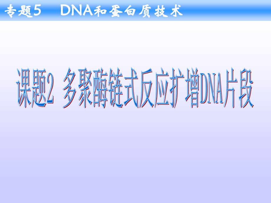 教育专题：42课题2多聚酶链式反应扩增_第1页