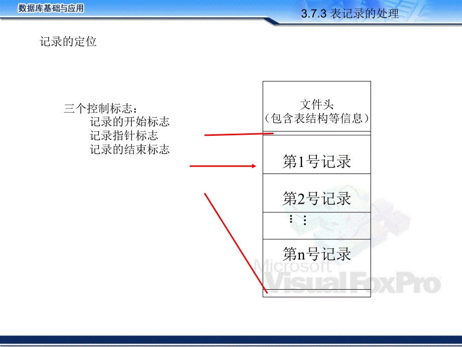 第3章-的定位与_第1页