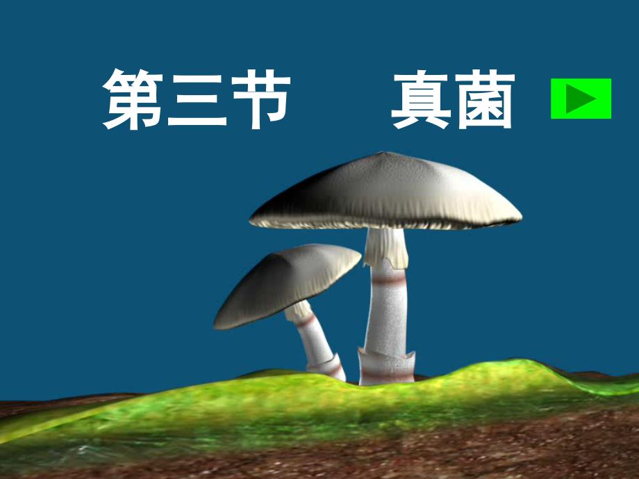 教育专题：43真菌 (2)_第1页