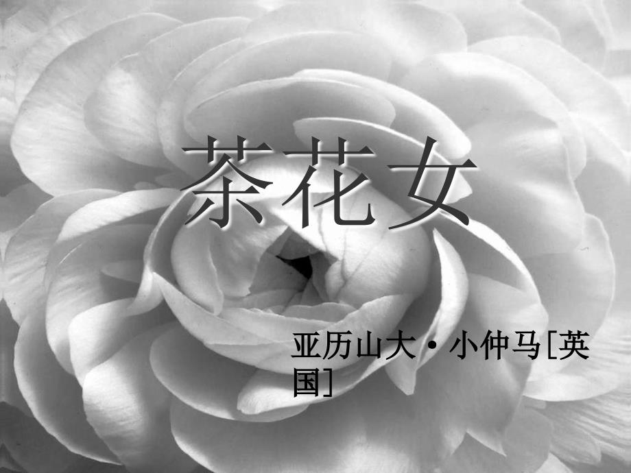 湘教版音乐九上《茶花女》（选曲）ppt课件 【0】_第1页