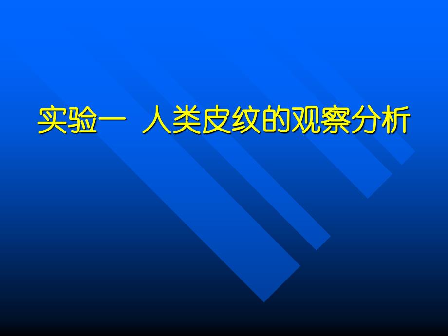 实验一_人类皮纹的观察分析_第1页