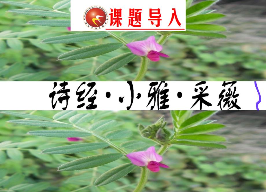 教育精品：4采薇20张_第1页