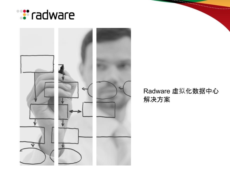 Radware虚拟化_第1页