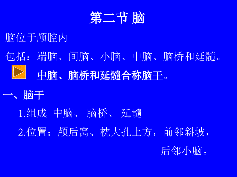 脑位于颅腔内_第1页