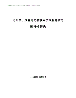 沧州关于成立电力物联网技术服务公司可行性报告
