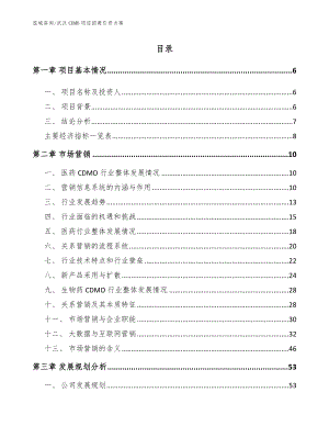 武汉CDMO项目招商引资方案【模板参考】