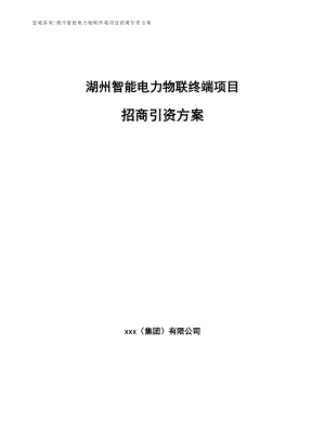 湖州智能电力物联终端项目招商引资方案【范文模板】