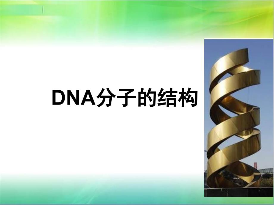 教育专题：DNA的结构_第1页