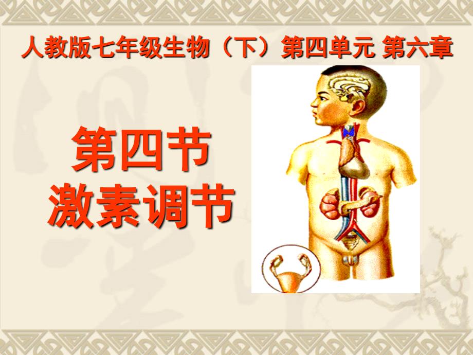 教育精品：4[激素调节]课件2_第1页