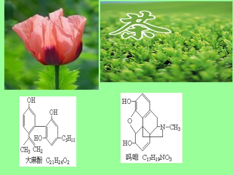 医用化学基础第七章醇_酚和醚2_第1页