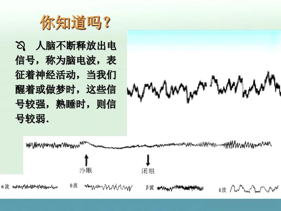 【备课精选】2012年高一生物浙教版必修三课件：2.2《神经系统的结构和功能》_第1页