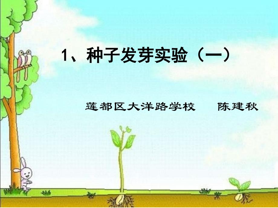 教育专题：一1种子发芽实验（一）陈建秋_第1页