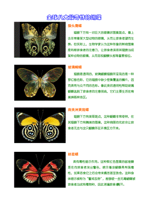 小学一年级蝴蝶图片及介绍