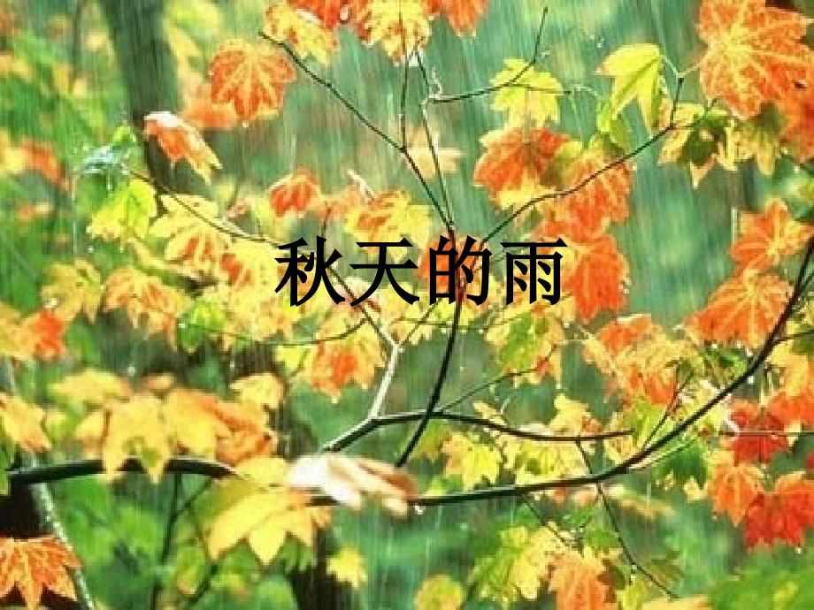 教育精品：《秋天的雨》课件1 (2)_第1页