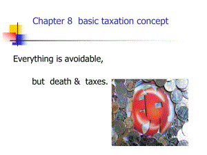 财政学教学课件：chapter 8 tax principle