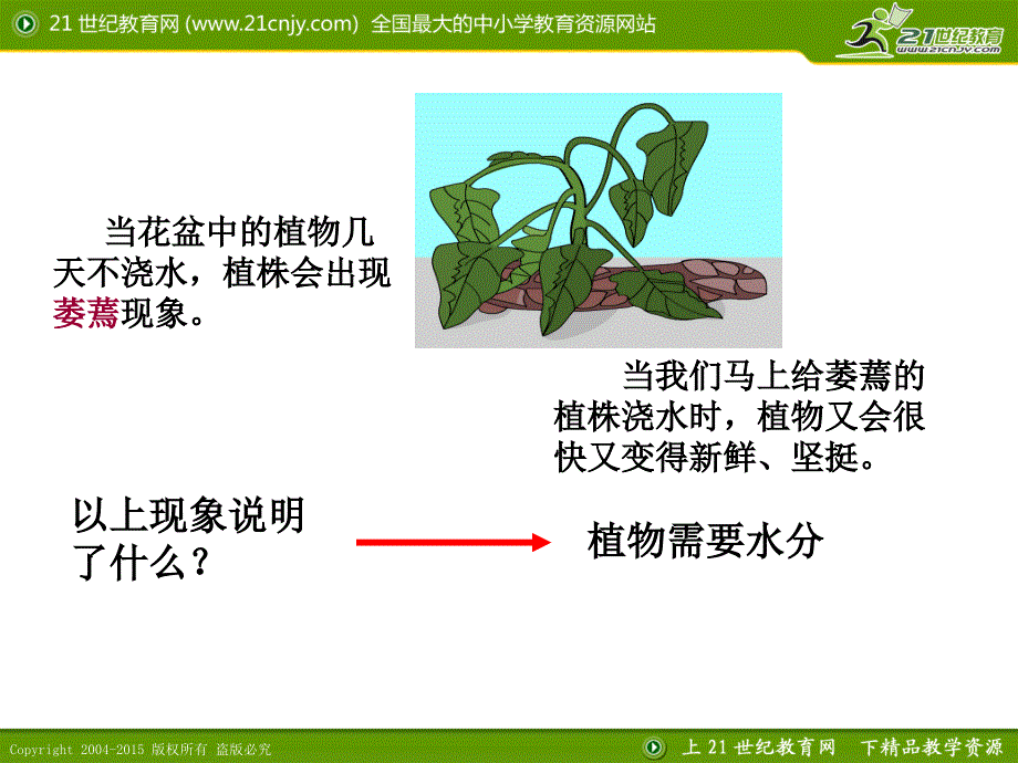 教育专题：42水在植物体中的代谢_第1页