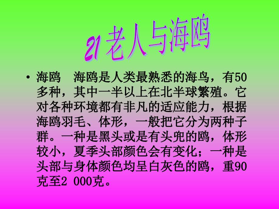 教育专题：人教版小学语文六年级上册《老人与海鸥》PPT课件_第1页