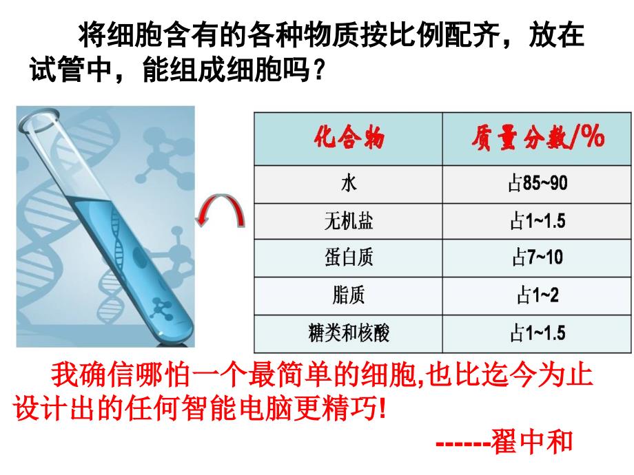 3.1细胞膜---系统的边界_第1页